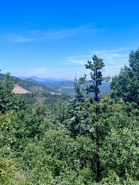 20258 Range View Dr, Morrison, CO 80465