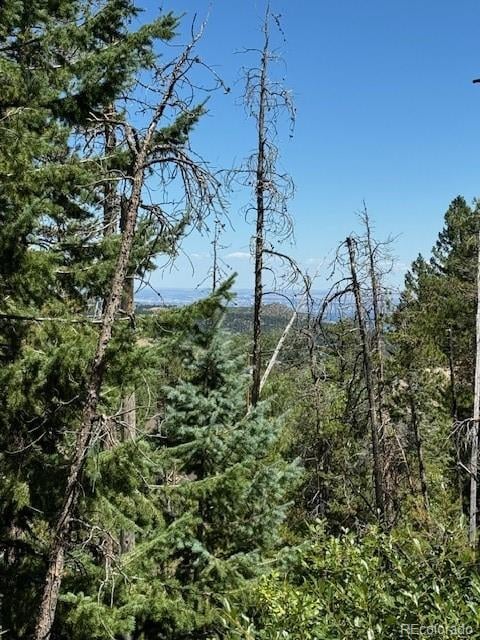 20258 Range View Dr, Morrison, CO 80465