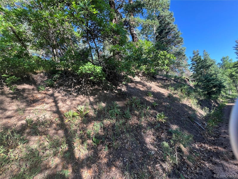 Lot 7 Wonder Trl, Rye, CO 81069