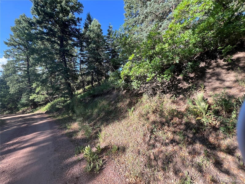 Lot 7 Wonder Trl, Rye, CO 81069