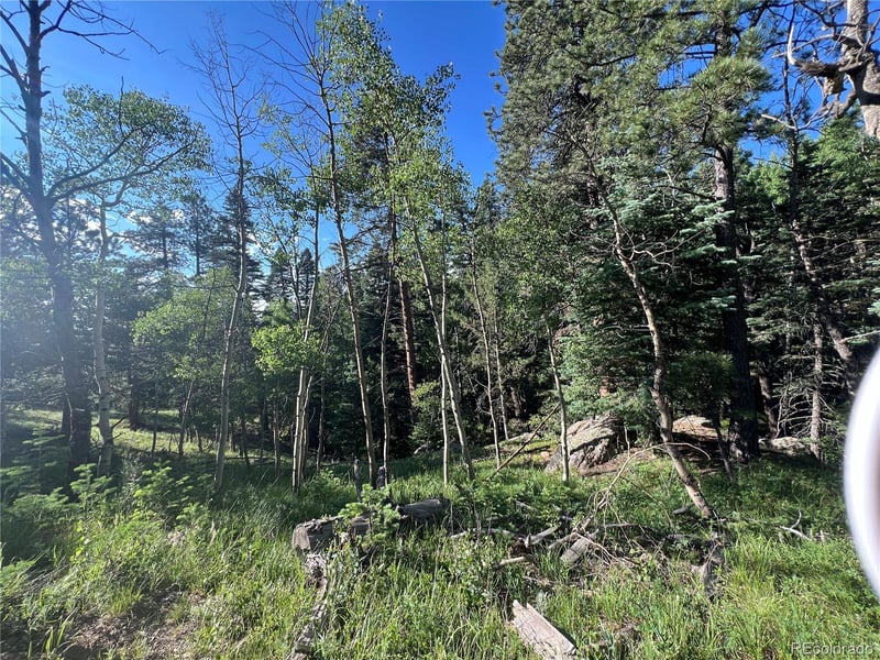 Lot 7 Wonder Trl, Rye, CO 81069