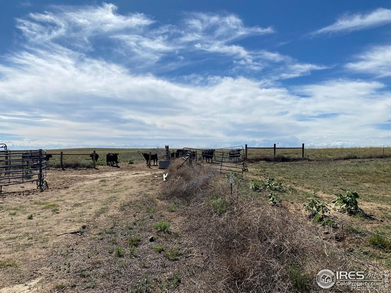 Weld County Road 93 #Tract 4, Orchard, CO 80649