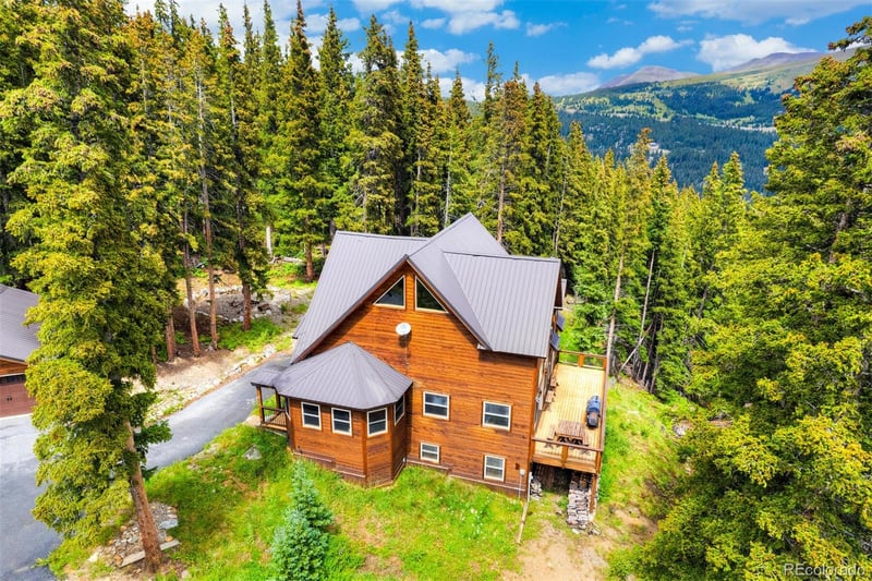 62 Lazy Rex Rd, Alma, CO 80420