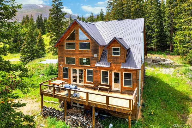 62 Lazy Rex Rd, Alma, CO 80420