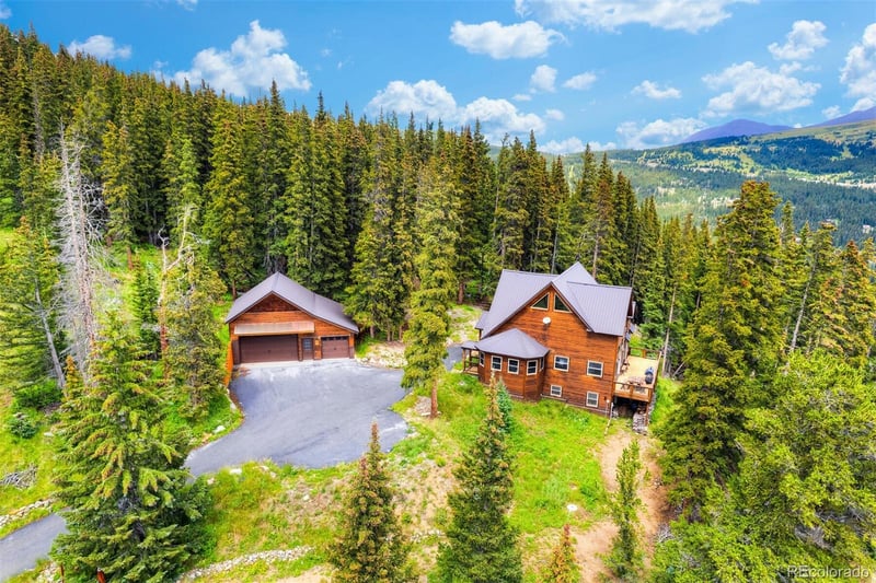 62 Lazy Rex Rd, Alma, CO 80420
