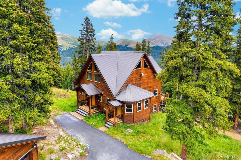 62 Lazy Rex Rd, Alma, CO 80420