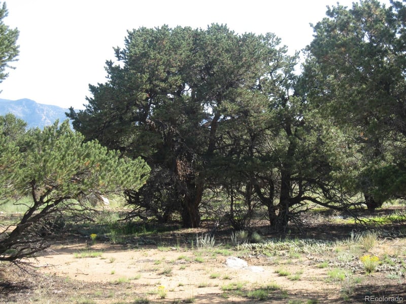 30036 Teal Rn Lot 13, Buena Vista, CO 81211
