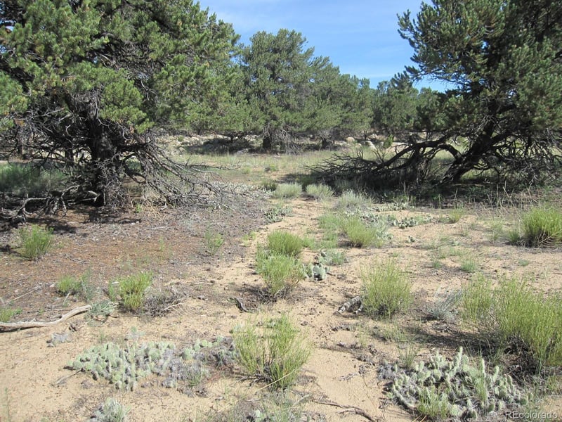 30036 Teal Rn Lot 13, Buena Vista, CO 81211