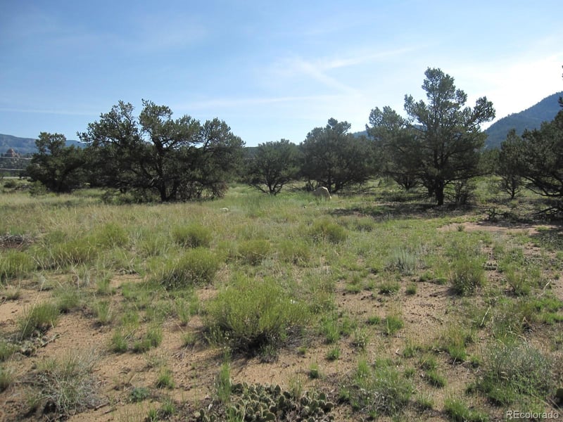 30036 Teal Rn Lot 13, Buena Vista, CO 81211