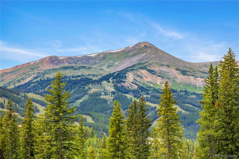 380 River Park Dr, Breckenridge, CO 80424