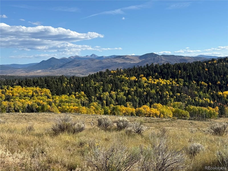 186 Flavin Ln, Fort Garland, CO 81133