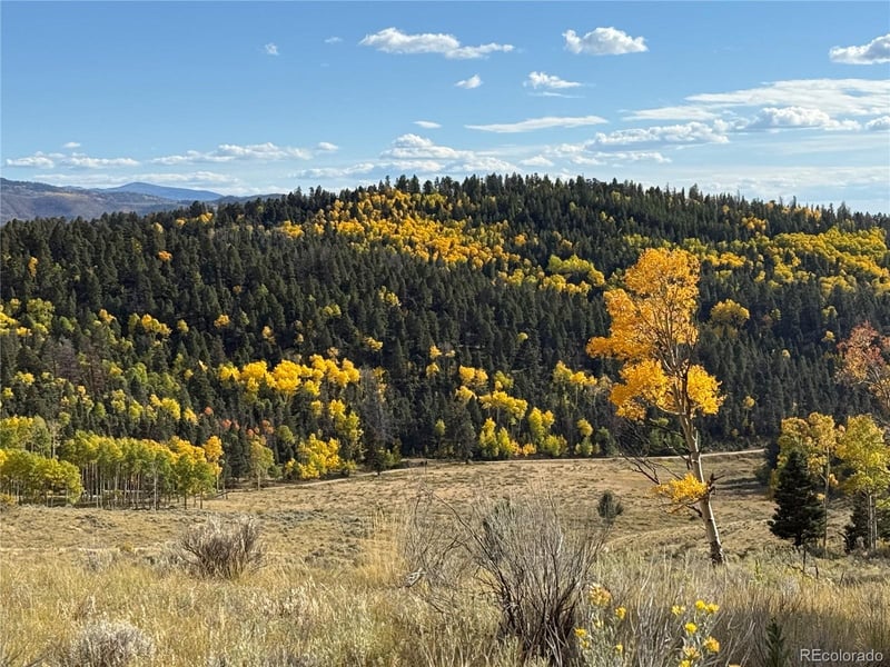 186 Flavin Ln Lot 186, Fort Garland, CO 81133
