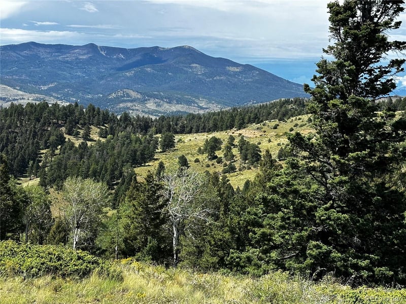 186 Flavin Ln Lot 186, Fort Garland, CO 81133