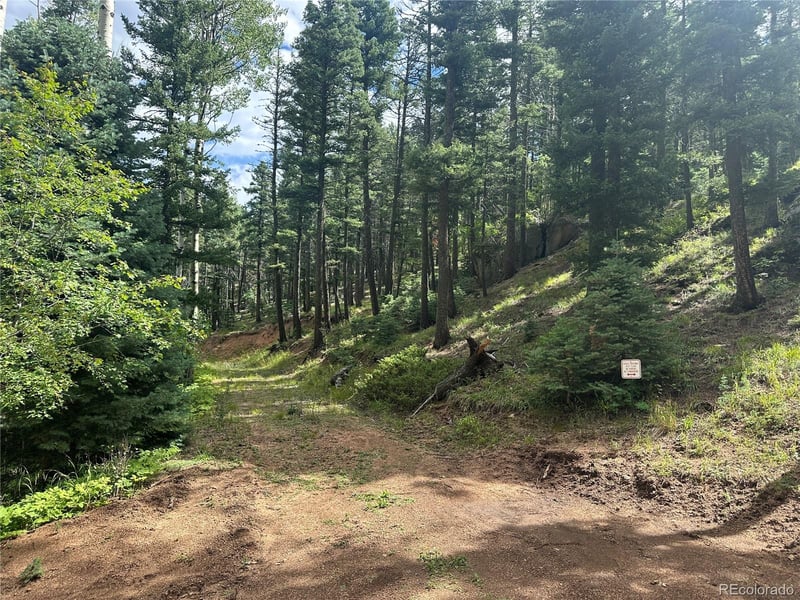 272 Fern Valley, Manitou Springs, CO 80829