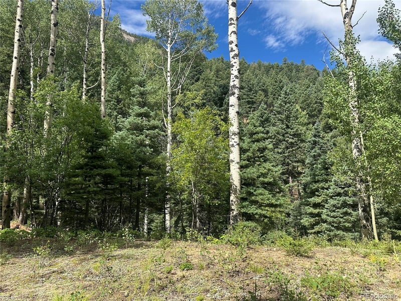 272 Fern Valley, Manitou Springs, CO 80829