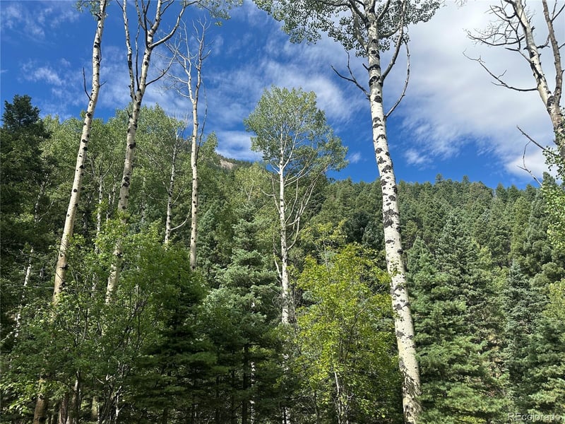 272 Fern Valley, Manitou Springs, CO 80829