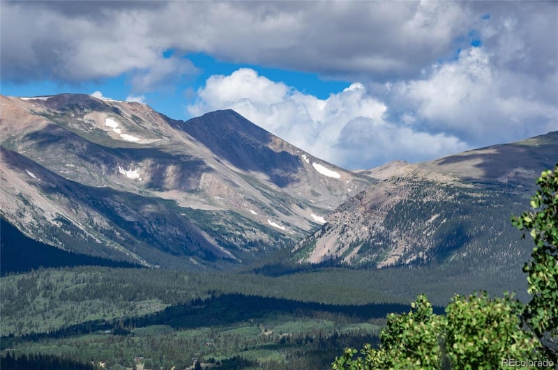 945 Ponderosa Rd, Alma, CO 80420