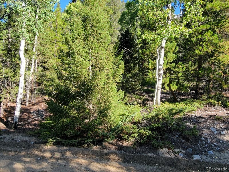 County Road 292a, Nathrop, CO 81236