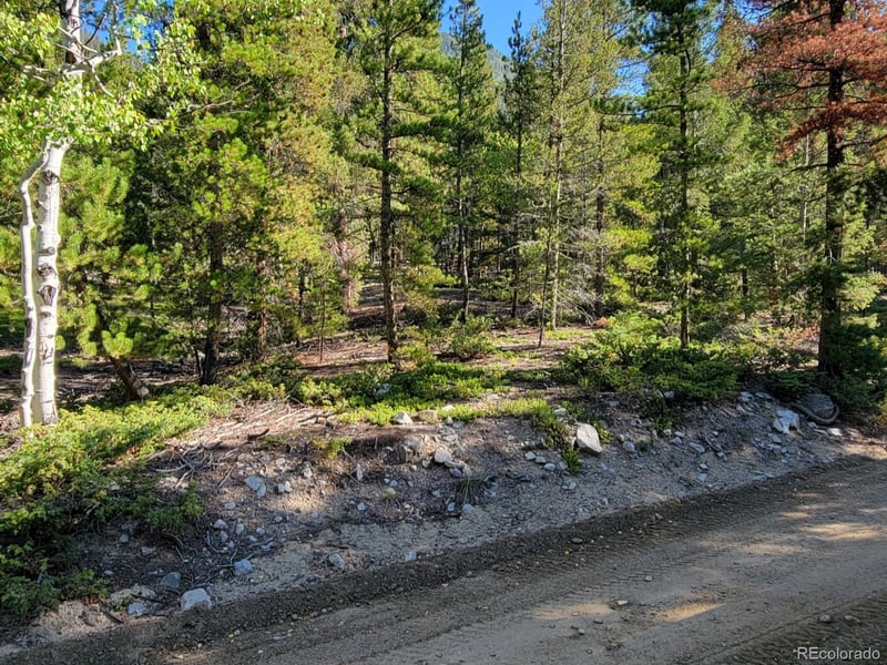 County Road 292a, Nathrop, CO 81236