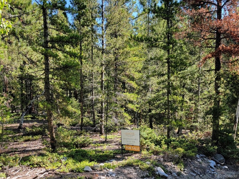 County Road 292a, Nathrop, CO 81236