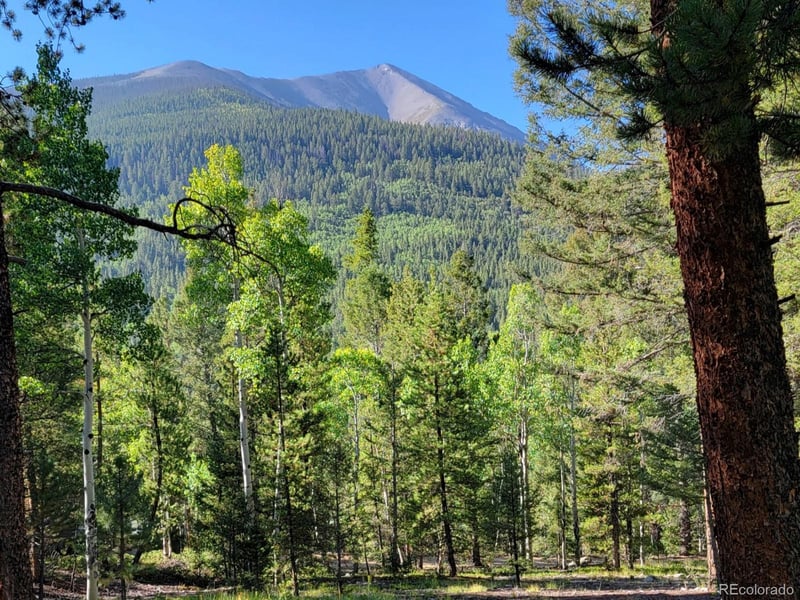 County Road 292a, Nathrop, CO 81236