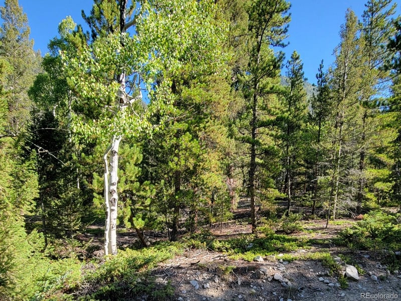 County Road 292a, Nathrop, CO 81236