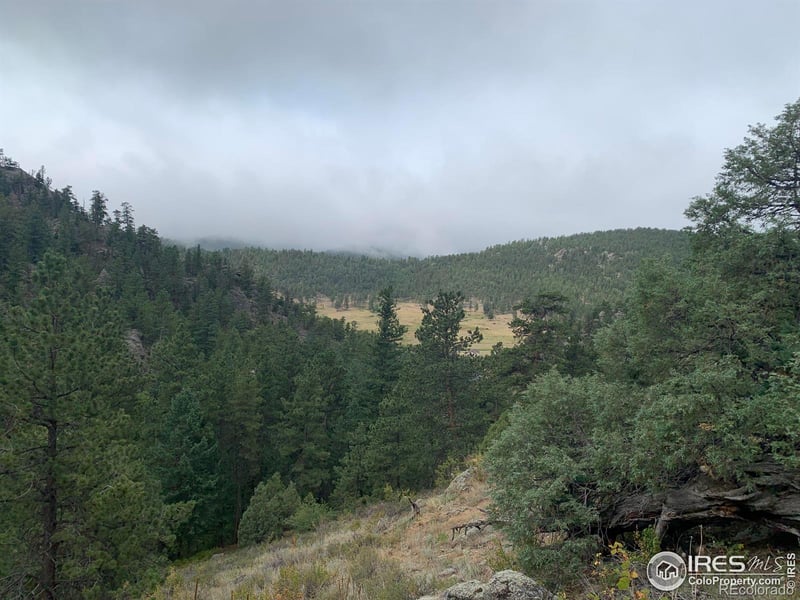 875 Pine Tree Dr, Estes Park, CO 80517