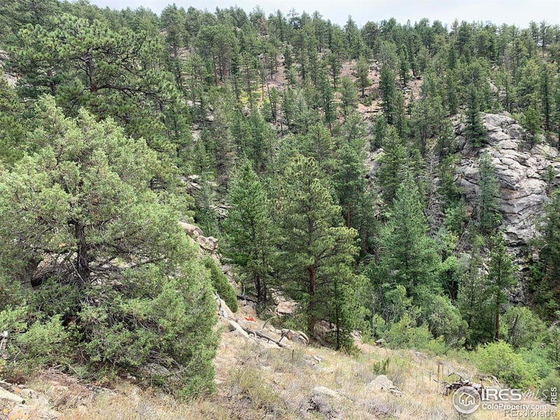 875 Pine Tree Dr, Estes Park, CO 80517