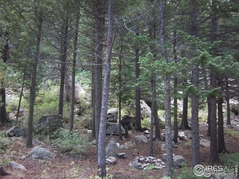 51344 Peak To Peak Hw, Lyons, CO 80540