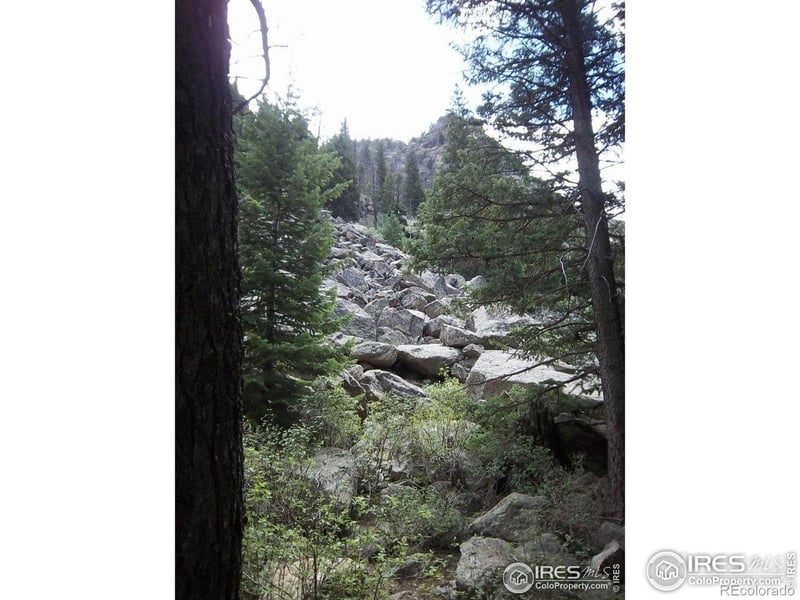 51344 Peak To Peak Hw, Lyons, CO 80540
