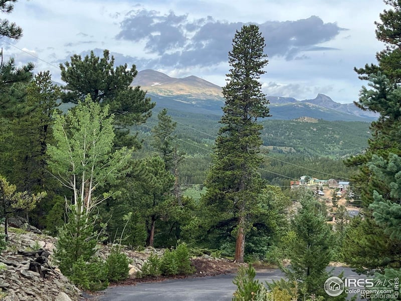 1140 Pine Cone Cir, Ward, CO 80481