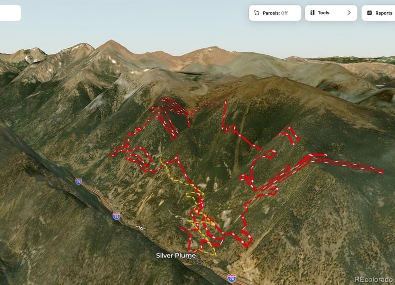 0 Silver St, Silver Plume, CO 80476