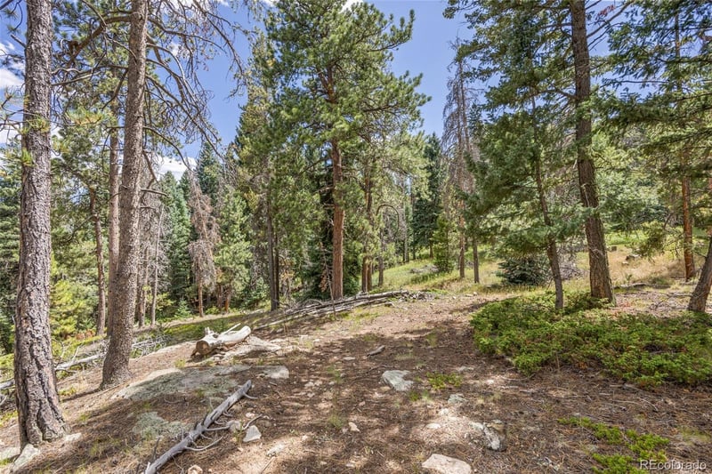8570 S Warhawk Rd, Conifer, CO 80433