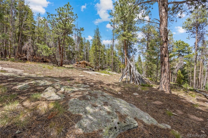 8570 S Warhawk Rd, Conifer, CO 80433