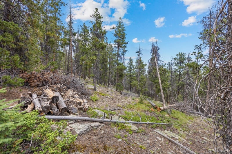 8570 S Warhawk Rd, Conifer, CO 80433