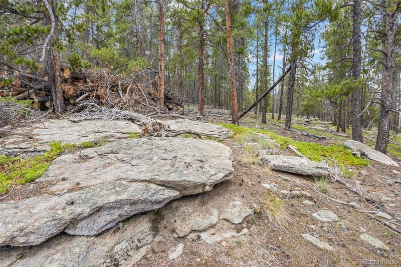 8570 S Warhawk Rd, Conifer, CO 80433