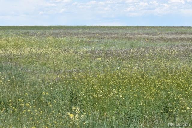 20601 County Road 169, Matheson, CO 80830