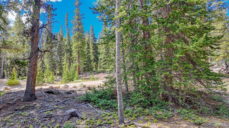 126 Gold Trail Cutoff, Fairplay, CO 80440