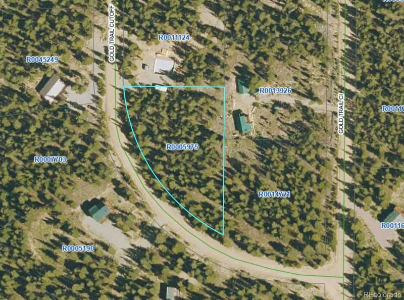 126 Gold Trail Cutoff, Fairplay, CO 80440