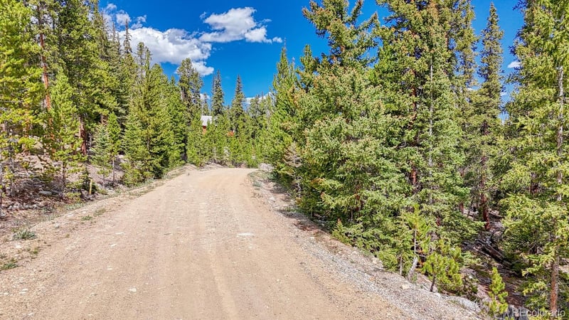 126 Gold Trail Cutoff, Fairplay, CO 80440