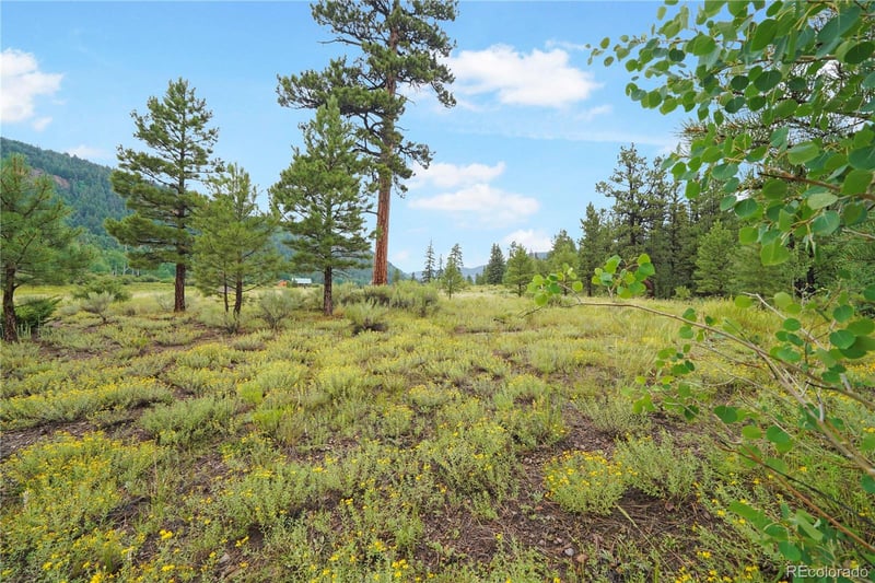 River Run Dr Lot 43, Antonito, CO 81120