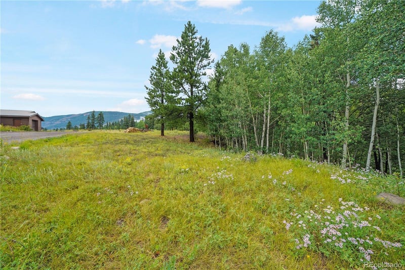 River Run Dr Lot 43, Antonito, CO 81120
