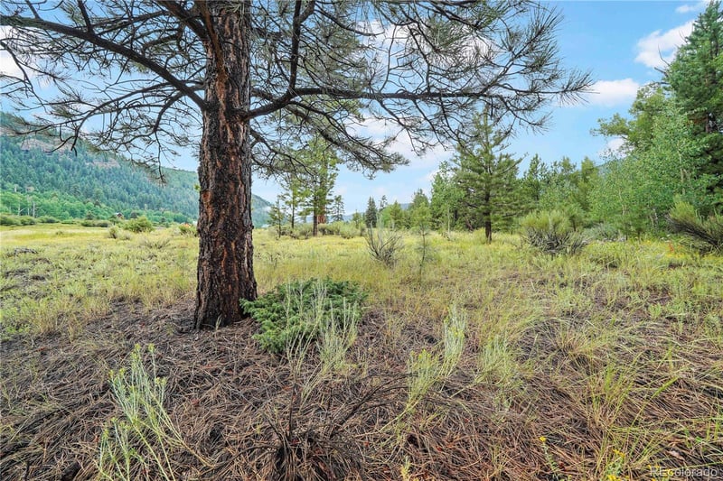 River Run Dr Lot 43, Antonito, CO 81120