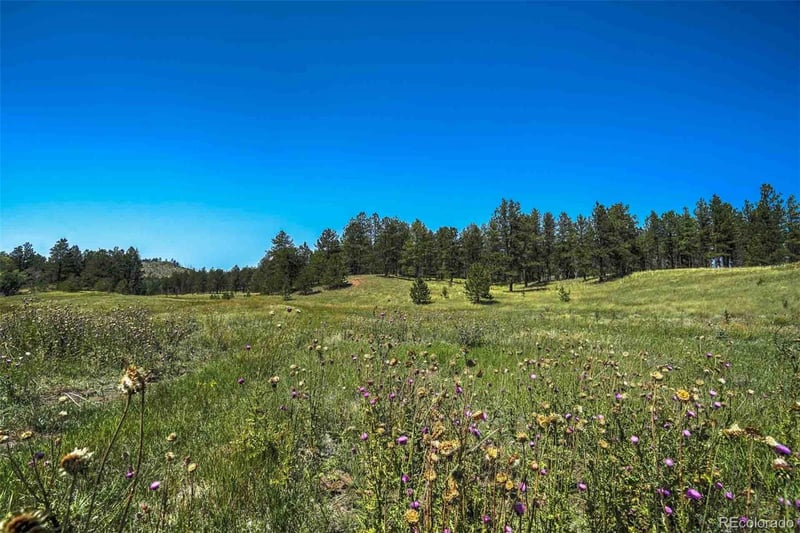 11068 Trail Creek Rd, Divide, CO 80814