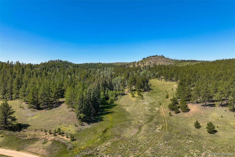 11068 Trail Creek Rd, Divide, CO 80814