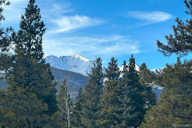 72 Dyer Trl, Breckenridge, CO 80424