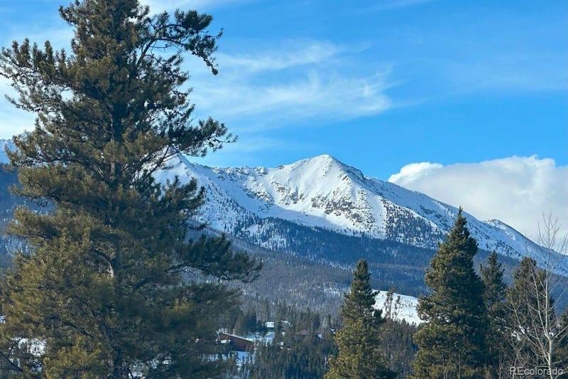 72 Dyer Trl, Breckenridge, CO 80424
