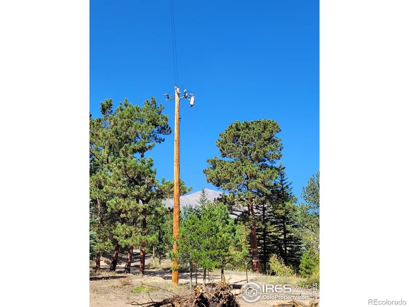 57 County Road 113 S, Allenspark, CO 80510