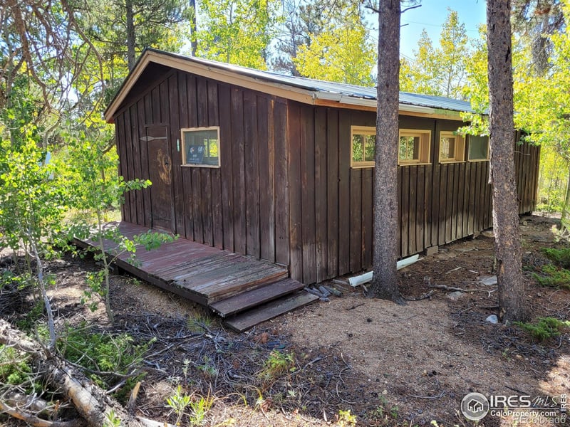 57 County Road 113 S, Allenspark, CO 80510