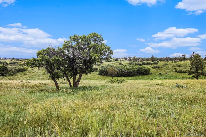 8654 Lost Lake Dr LOT 1, Franktown, CO 80116